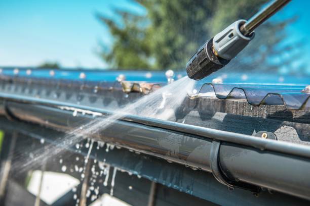 Best Roof Power Washing Services  in Delano, MN
