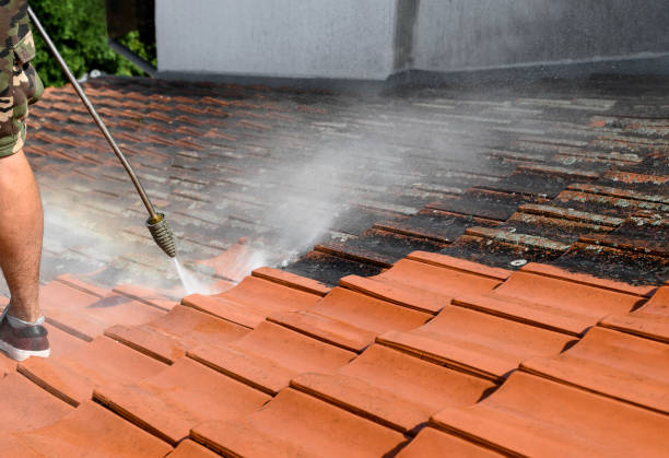 Roof Power Washing Services in Delano, MN