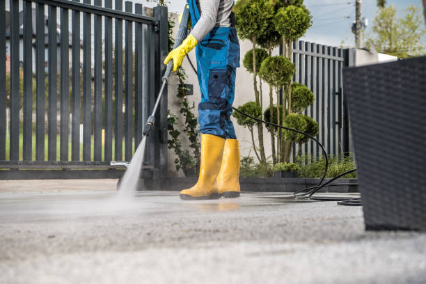 Best Commercial Pressure Washing  in Delano, MN