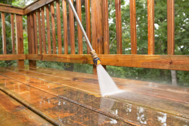 Best Roof Pressure Washing  in Delano, MN