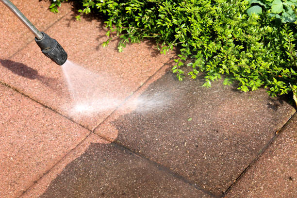 Best Commercial Pressure Washing  in Delano, MN